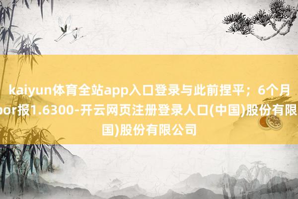 kaiyun体育全站app入口登录与此前捏平;6个月shibor报1.6300-开云网页注册登录人口(中国)股份有限公司