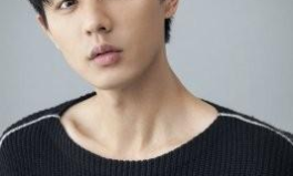 刘畅写真,光影交织下的魅力瞬间