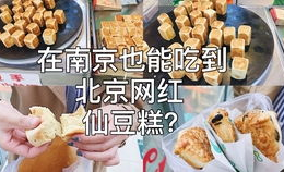 点心网红金鱼,点心界的清新宠儿